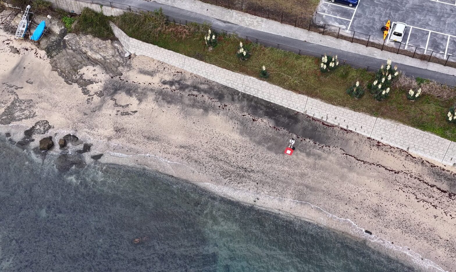 海岸で上空から操縦者を撮影